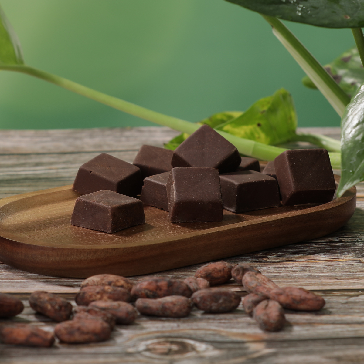 Criollo Kakao Chunks