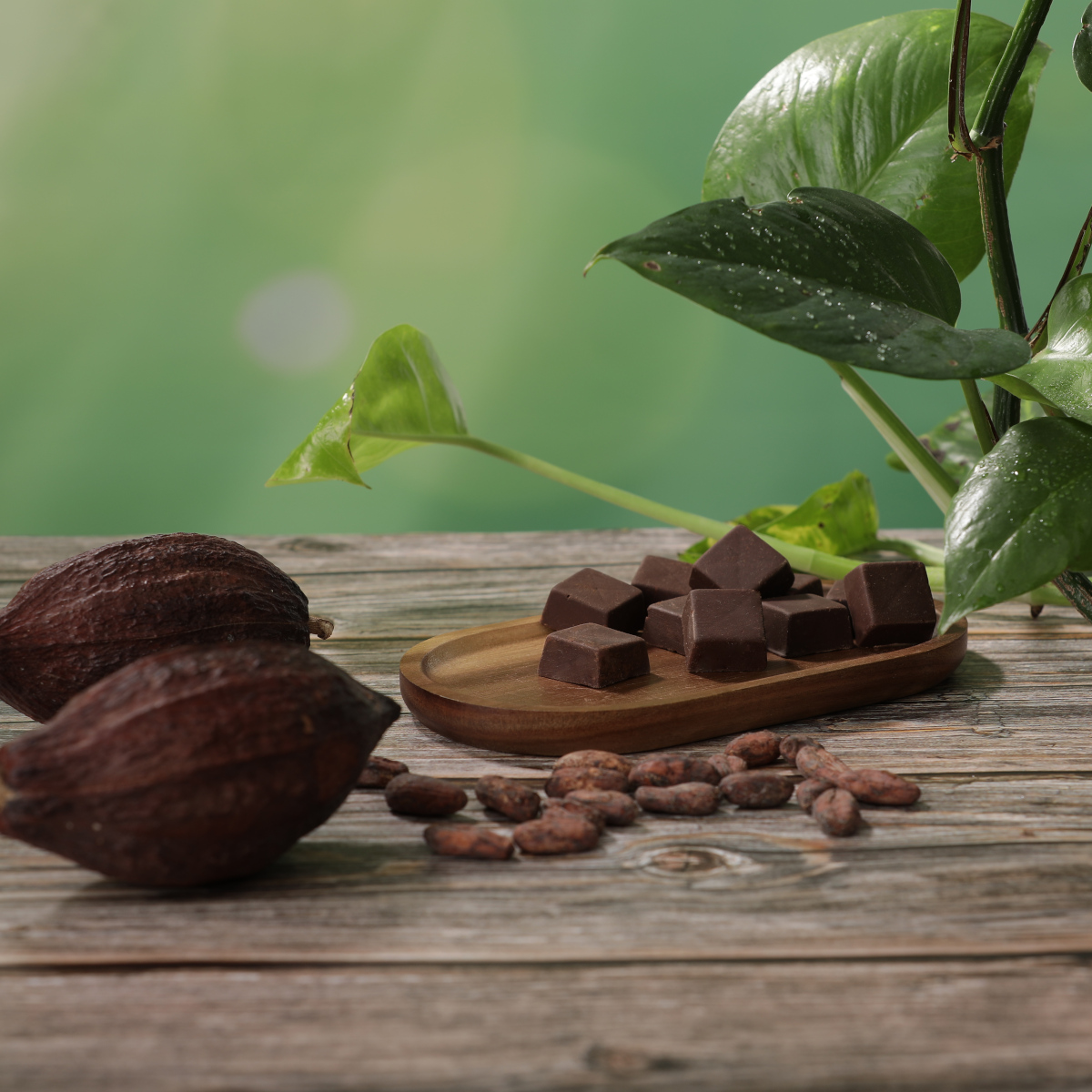 Criollo Kakao Chunks – Bild 5