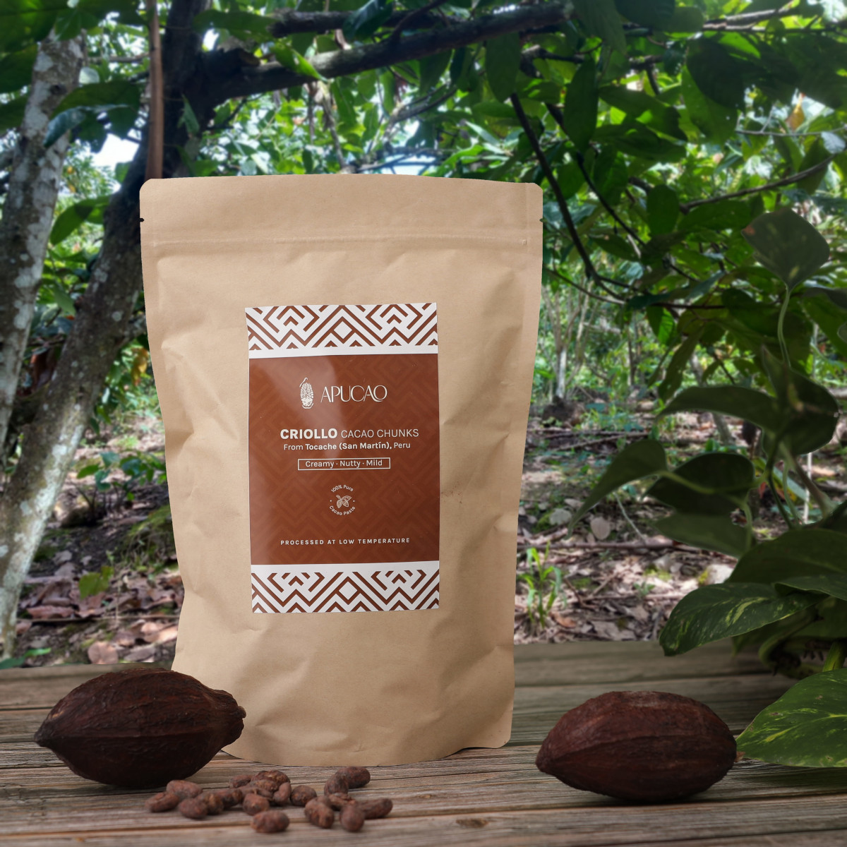 Criollo Kakao Chunks – Bild 3