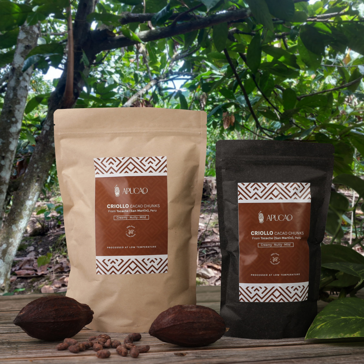 Criollo Kakao Chunks – Bild 4